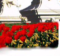 Zur Auswahl, hier klicken oder Automatik abwarten